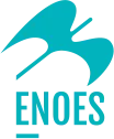 ENOES